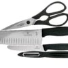 Victorinox SwissClassic 6.7133.4G 4-piezas Juego De Cuchillos De Cocina, Negro